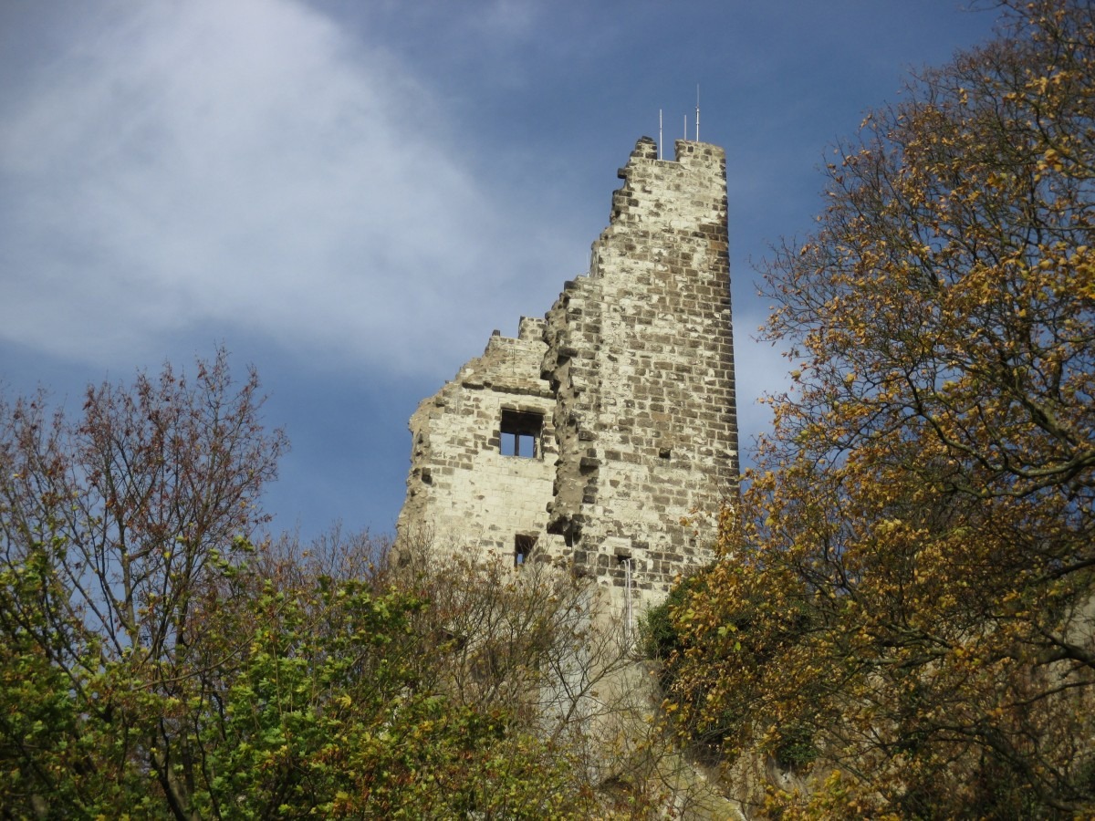 Ruine Drachenfels