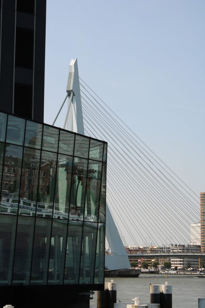 Das Wahrzeichen Rotterdam, die Erasmusbrücke, im Hintergrund