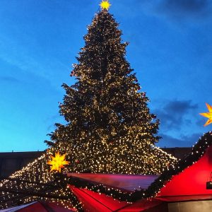Weihnachtsbaum auf dem Roncalliplatz