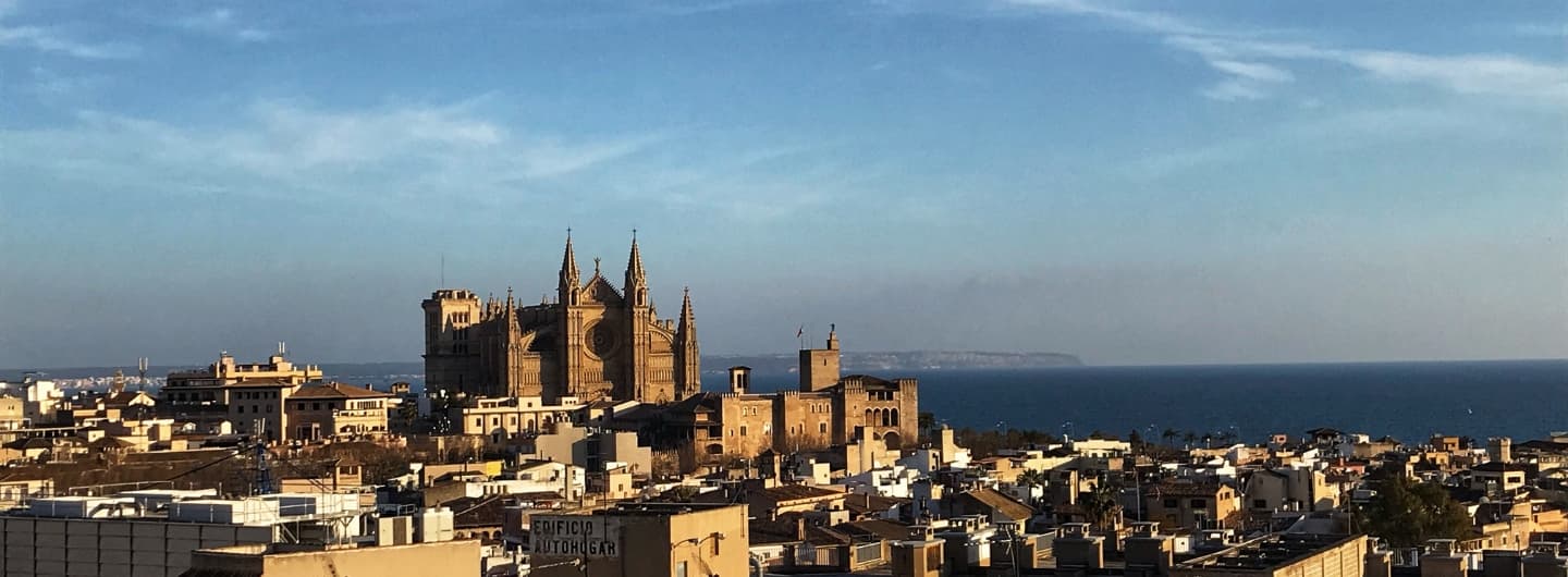 Blick auf die Cathedrale von Palma de Mallorca